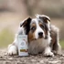 Kép 4/5 - DOG’S LOVE Super Digest – gyógynövénykeverék az egészséges emésztéséért 70g
